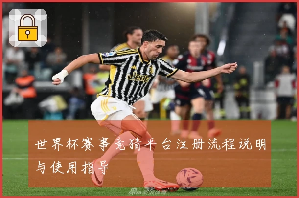 世界杯赛事竞猜平台注册流程说明与使用指导