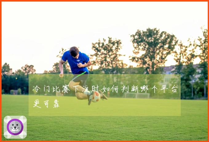冷门比赛下注时如何判断哪个平台更可靠