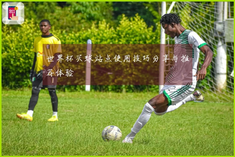 世界杯买球站点使用技巧分享与推荐体验