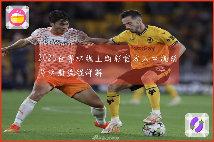 2026世界杯线上购彩官方入口说明与注册流程详解