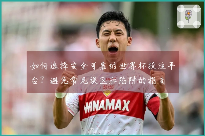 如何选择安全可靠的世界杯投注平台？避免常见误区和陷阱的指南