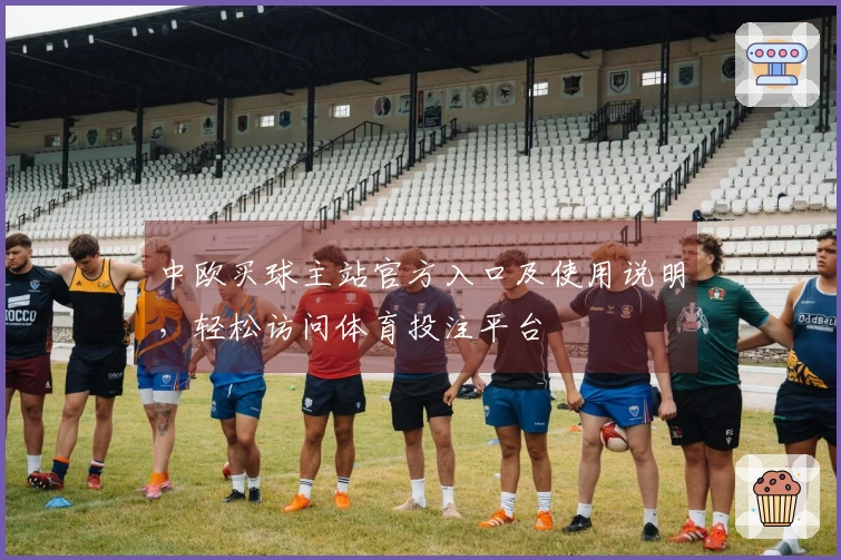 中欧买球主站官方入口及使用说明，轻松访问体育投注平台