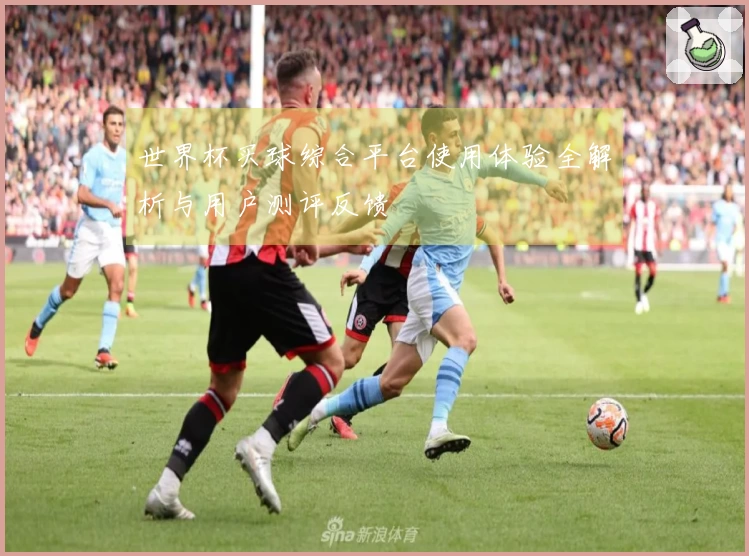 世界杯买球综合平台使用体验全解析与用户测评反馈