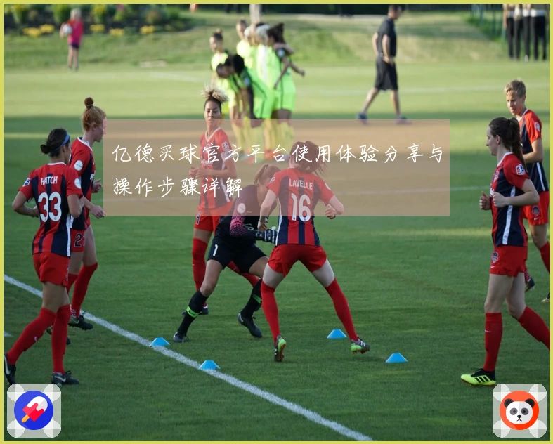 亿德买球官方平台使用体验分享与操作步骤详解