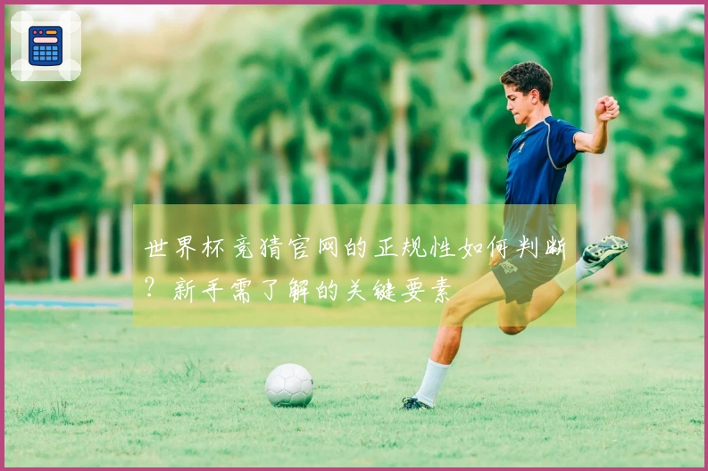 世界杯竞猜官网的正规性如何判断？新手需了解的关键要素