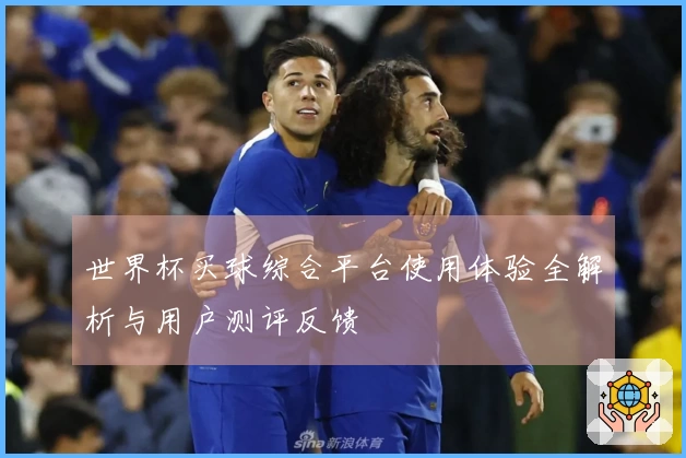 世界杯买球综合平台使用体验全解析与用户测评反馈