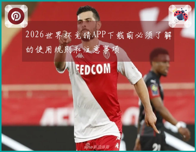 2026世界杯竞猜APP下载前必须了解的使用规则和注意事项