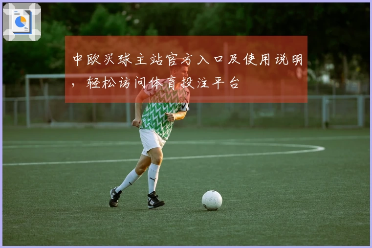 中欧买球主站官方入口及使用说明，轻松访问体育投注平台