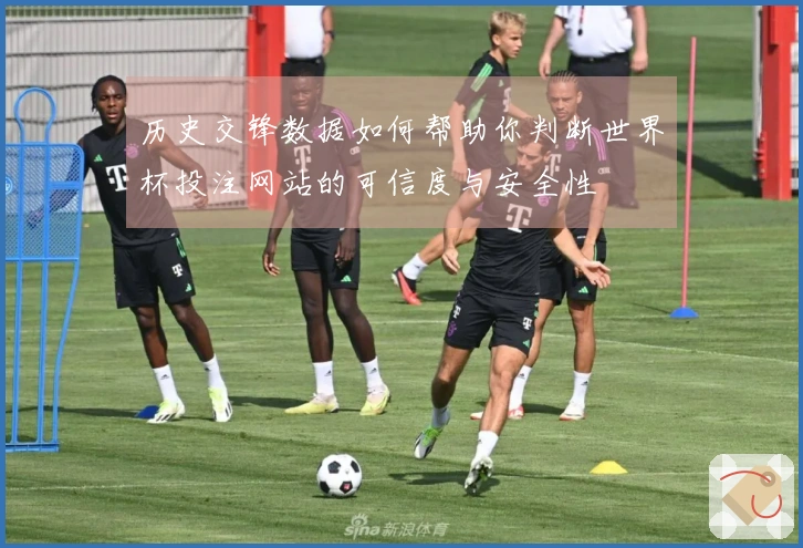历史交锋数据如何帮助你判断世界杯投注网站的可信度与安全性