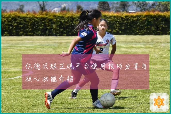 亿德买球正规平台使用技巧分享与核心功能介绍